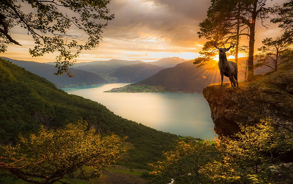 lake and mountain, deer, sunset, fjord, mountains HD wallpaper