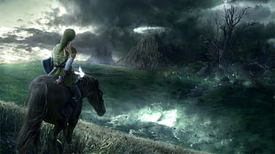 man riding horse digital wallapepr, video games, The Legend of Zelda, Link