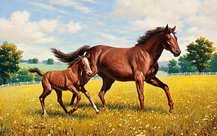 brown horse and pony in middle of grassfield painting HD wallpaper
