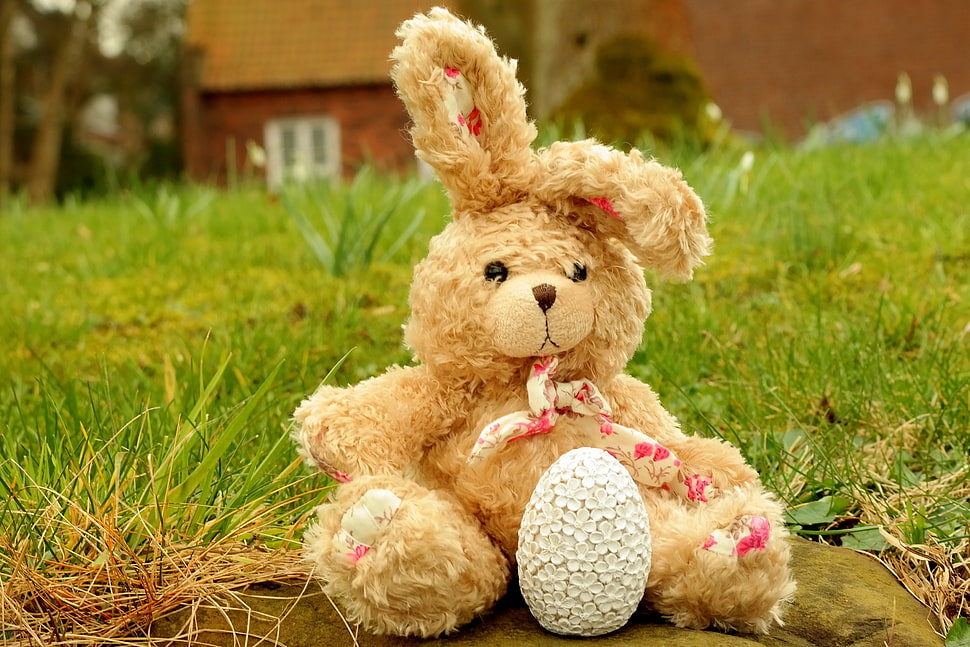 brown bunny plush toy on grass fields HD wallpaper