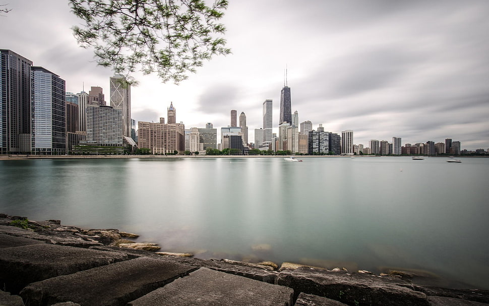 white and black concrete buildings, cityscape HD wallpaper