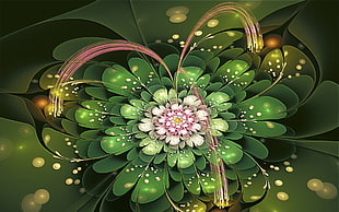 pink and green flower artwork