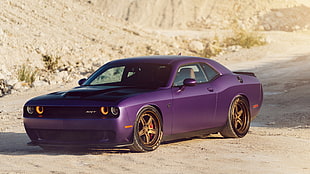 purple Dodge Challenger during daytime