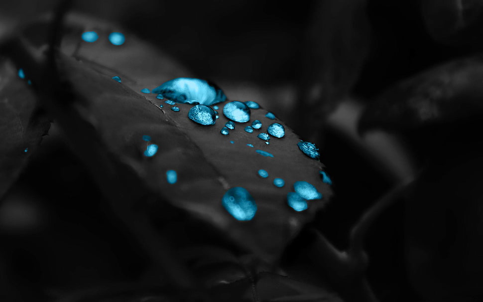 blue water drop HD wallpaper