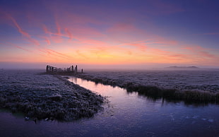 body of water and grass, nature, landscape, mist, frost