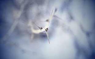 selective focus photo of white torn HD wallpaper