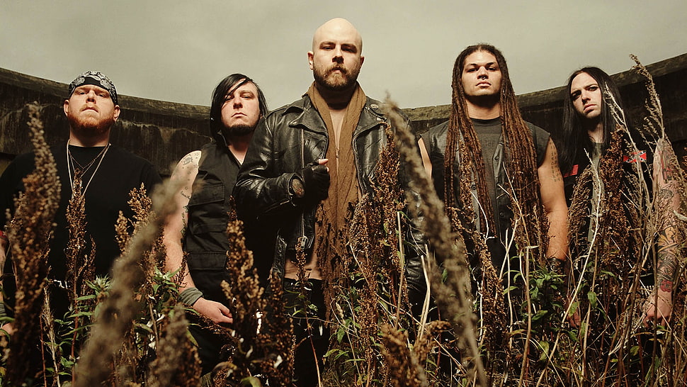 5-member band with brown grass HD wallpaper