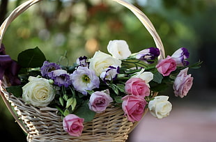 basket of pink, white, and purple Rose flowers