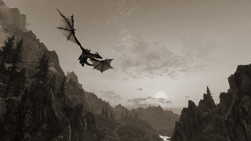 gray dragon, The Elder Scrolls V: Skyrim, video games, dragon HD wallpaper