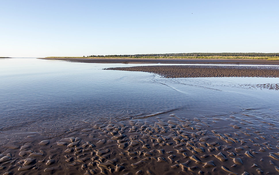 seashore under the blue sky HD wallpaper