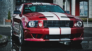 red Ford Mustang Cobra, Ford Mustang, car