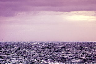 landscape photography of ocean