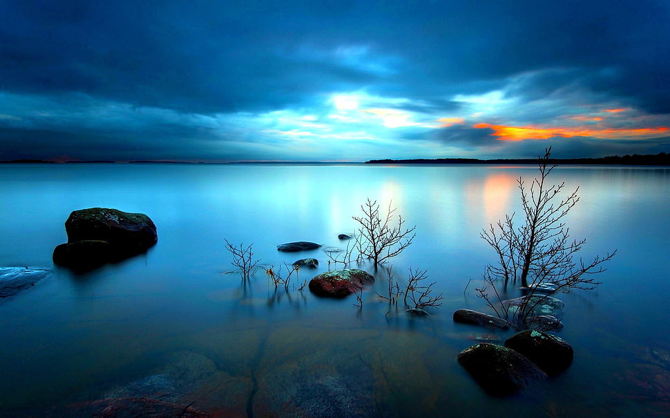white clouds, nature HD wallpaper