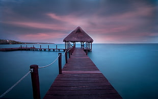 brown wooden dock on body of water during daytime, nature, landscape, Caribbean, dock HD wallpaper