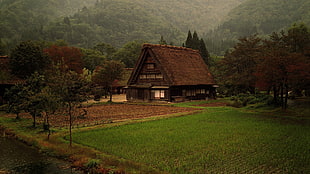 brown bungalow house, nature