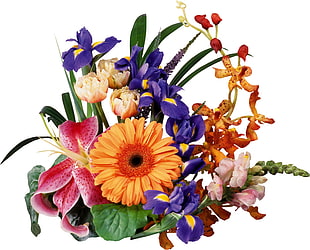 multicolored floral arrangement HD wallpaper