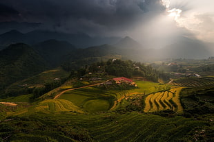 green field, mist, village, mountains, terraces HD wallpaper