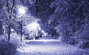 black street post, winter, snow, night, park
