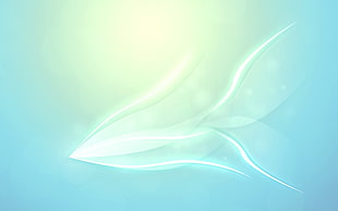 white and blue painting HD wallpaper