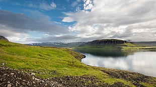 green mountain along with the body of water during daytime, icelandic landscape