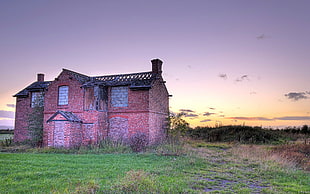 red brick house, building, grass, abandoned