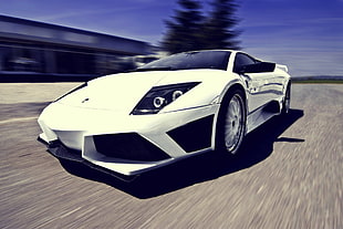white Lamborghini Mucielago coupe, Lamborghini, car, Super Car , white cars HD wallpaper