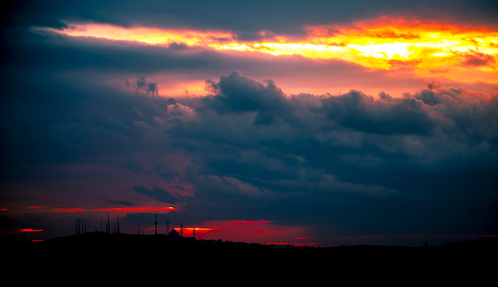 silhouette of trees during sunset HD wallpaper