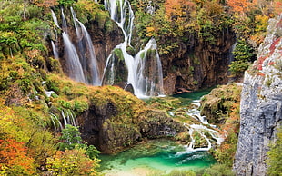 aerial scenery of water falls in forest during daytime