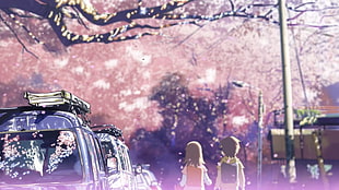 male and female character, 5 Centimeters Per Second, anime