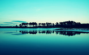water body, landscape, trees, sea, lake HD wallpaper
