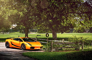 orange supercar, car, Lamborghini HD wallpaper