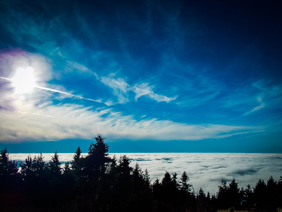 white clouds, Trees, Sky, Clouds HD wallpaper