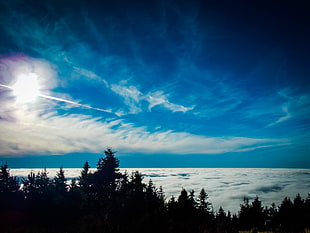 white clouds, Trees, Sky, Clouds