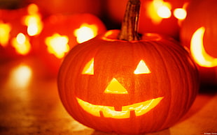 Jack-o-lantern, Halloween, pumpkin, glowing eyes HD wallpaper