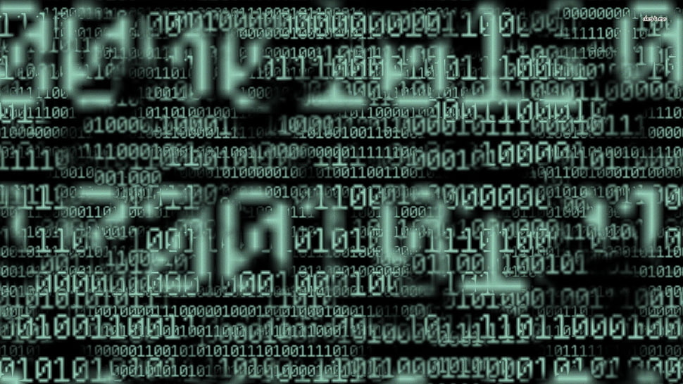 binary numbers, binary HD wallpaper