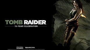 Tomb Raider poster, Lara Croft, Rise of Tomb Raider, PC gaming