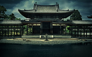 low light photography of pagoda HD wallpaper