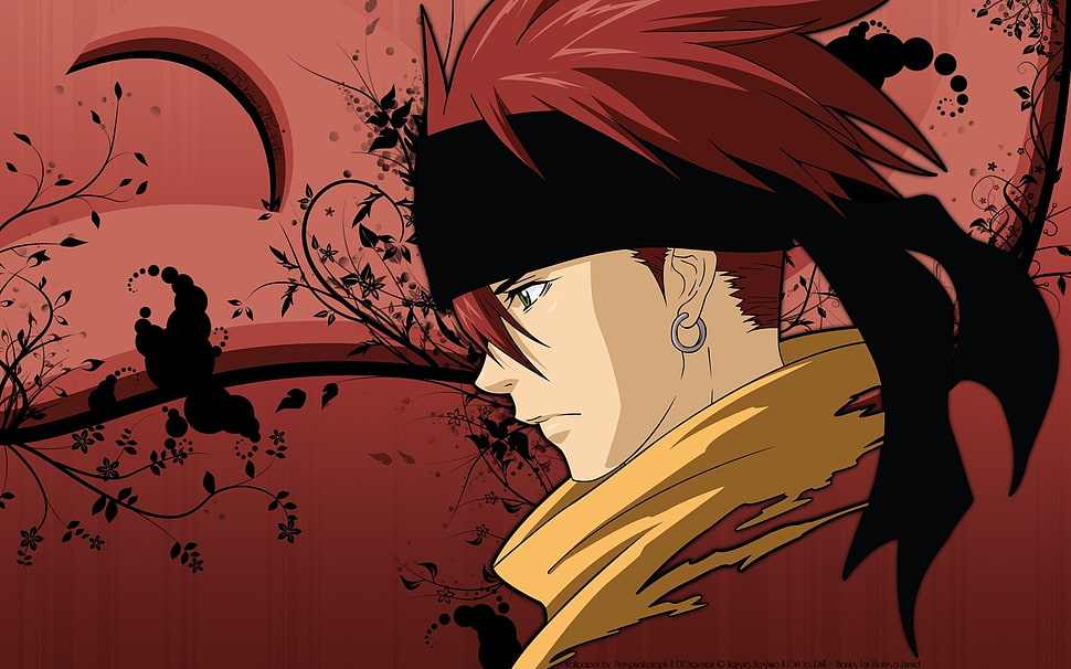Levi Dig HD wallpaper