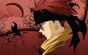 Levi Dig HD wallpaper