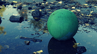 photo of green ball on water HD wallpaper