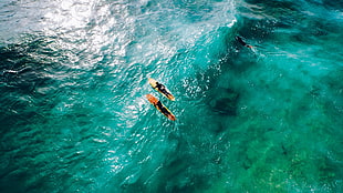 orange surfboard, waves, sea, surfing HD wallpaper