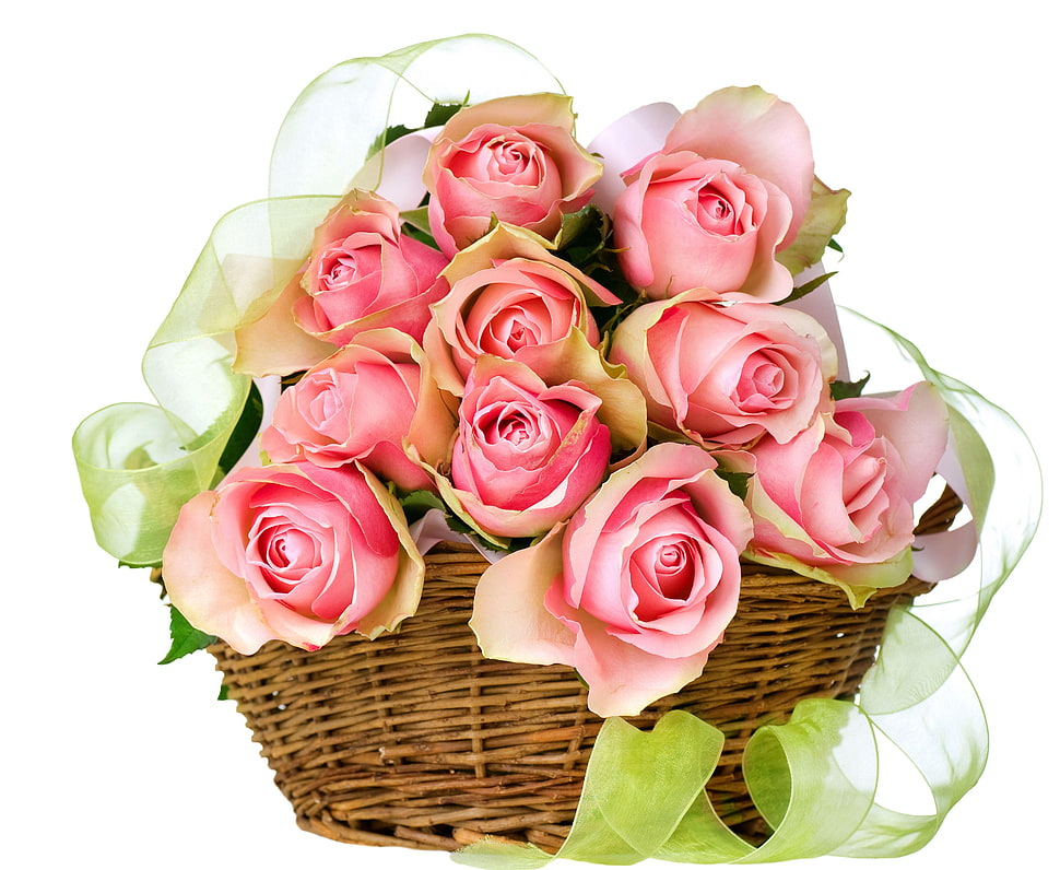 pink rose bouquet on basket with white background HD wallpaper