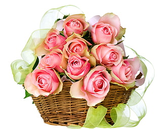 pink rose bouquet on basket with white background