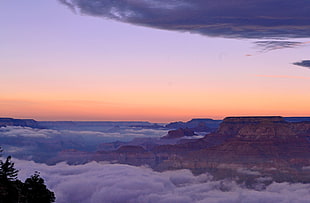 mountain rage view, grand canyon national park HD wallpaper