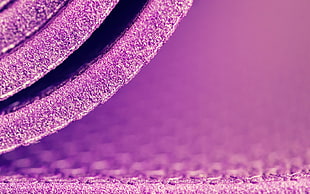 close-up photo of purple pad