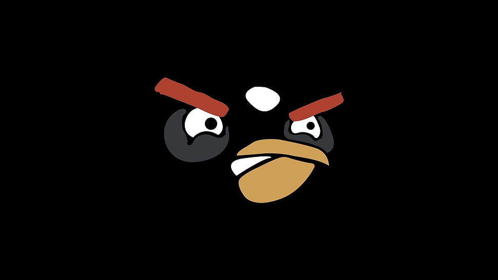 Angry Bird illustration, Angry Birds HD wallpaper