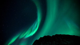aurora borealis, aurorae, sky, nature, night HD wallpaper