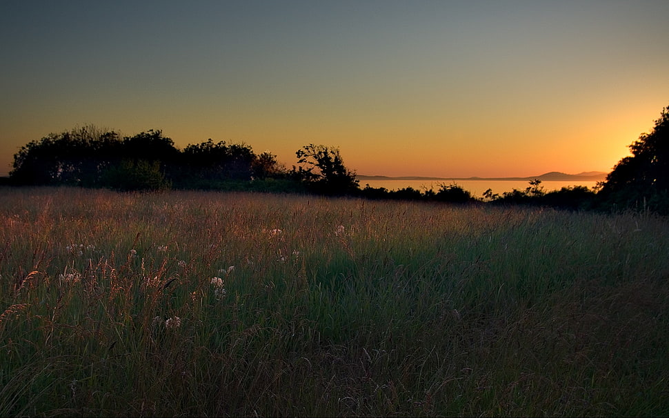 sunset over the horizon HD wallpaper