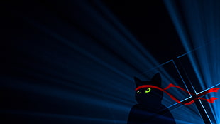 black cat with red bandana artwork HD wallpaper