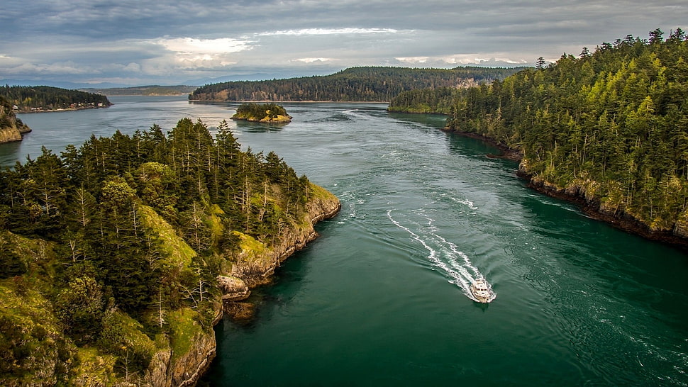 white motorboat between forest in body of water HD wallpaper